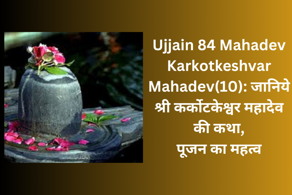 Ujjain 84 Mahadev Karkotkeshvar Mahadev